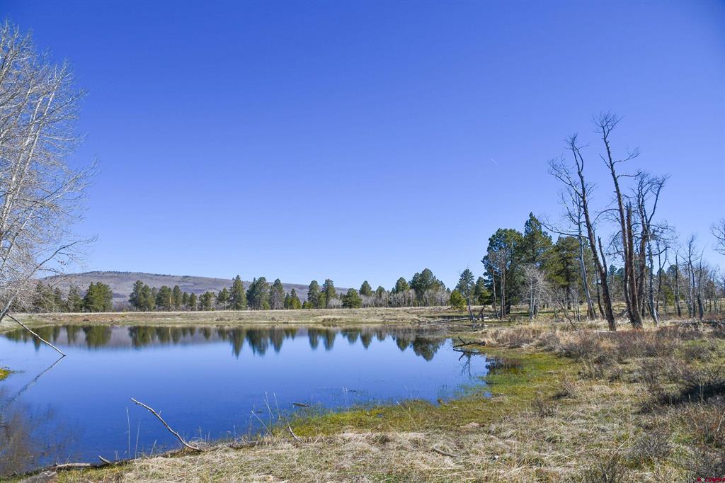 56490 Ii Road