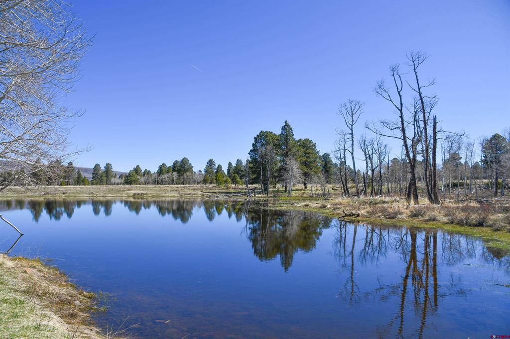 56490 Ii Road