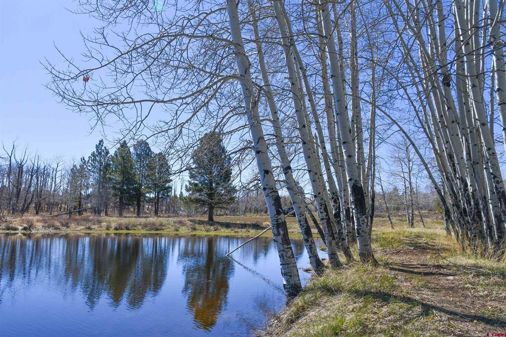 56490 Ii Road