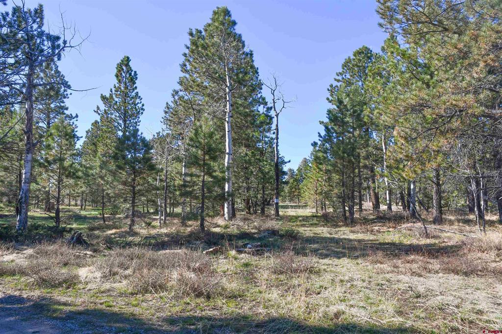 56490 Ii Road