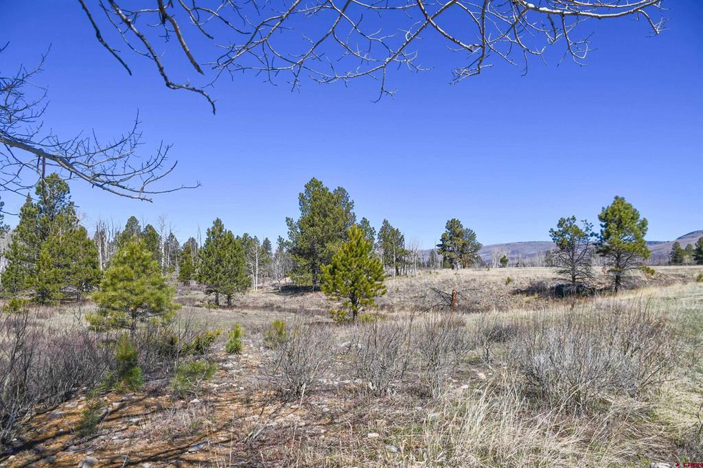 56490 Ii Road