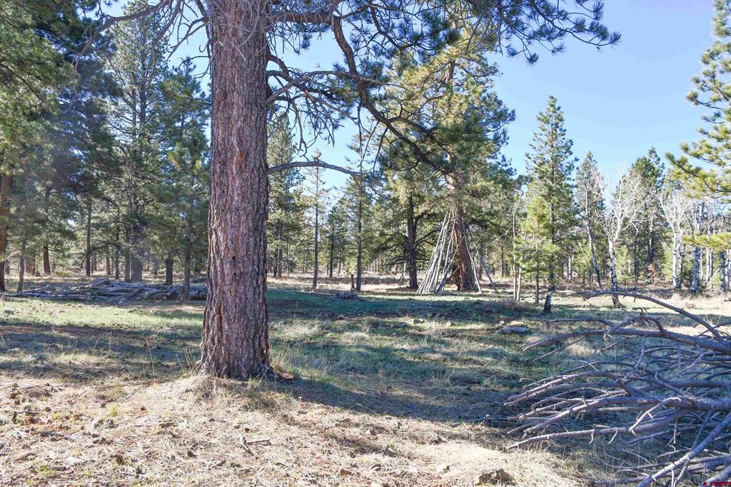 56490 Ii Road
