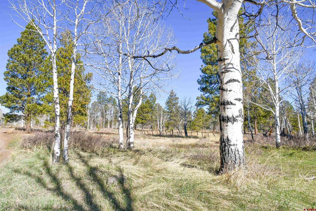 56490 Ii Road