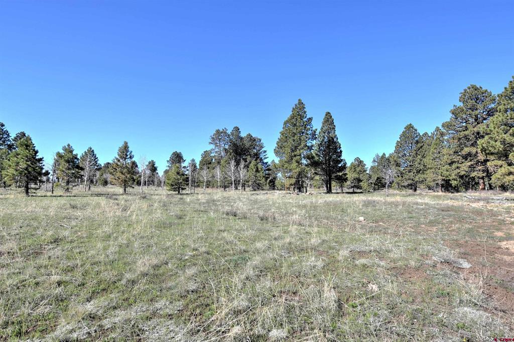 56490 Ii Road