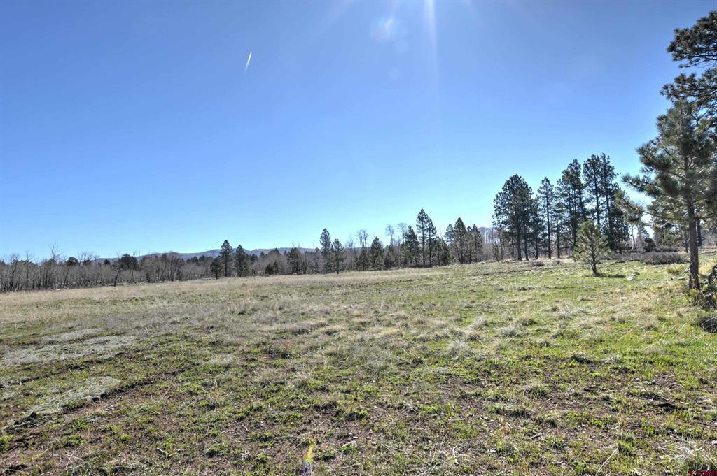 56490 Ii Road