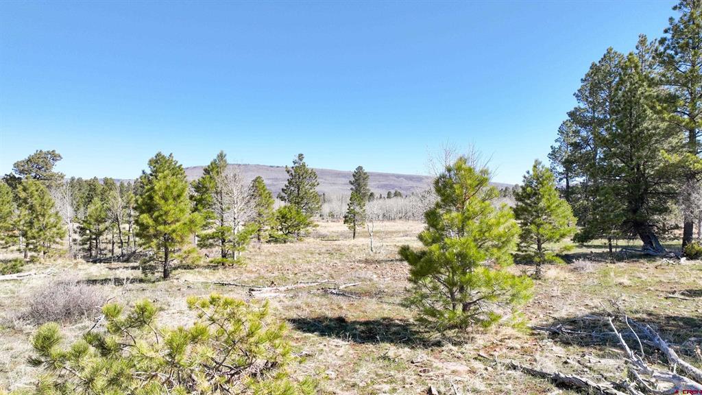 56490 Ii Road