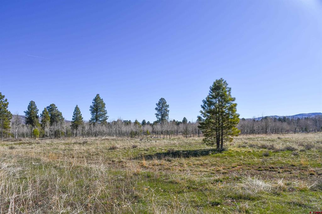 56490 Ii Road