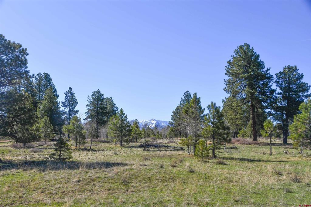 56490 Ii Road