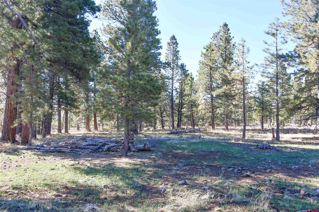56490 Ii Road