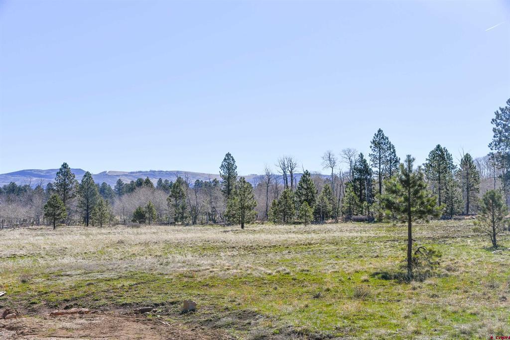 56490 Ii Road
