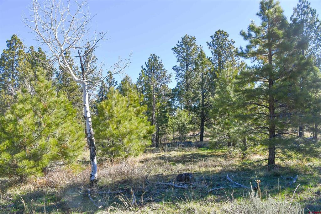 56490 Ii Road