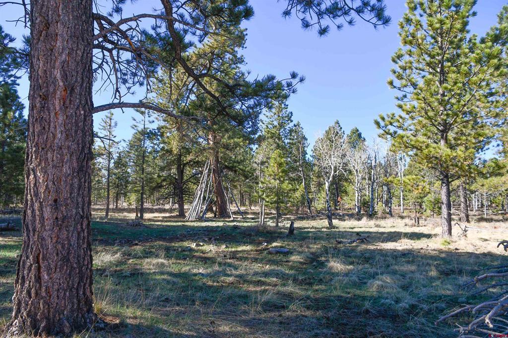 56490 Ii Road