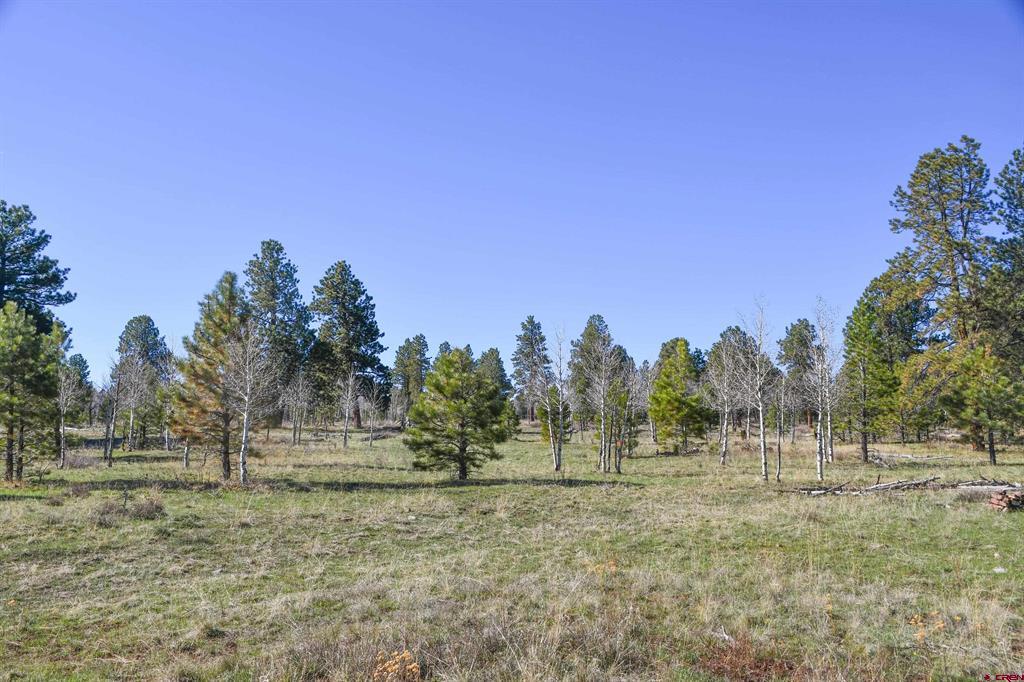 56490 Ii Road