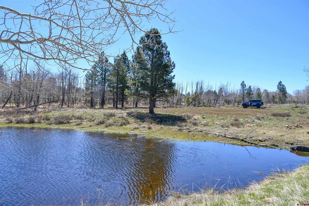 56490 Ii Road