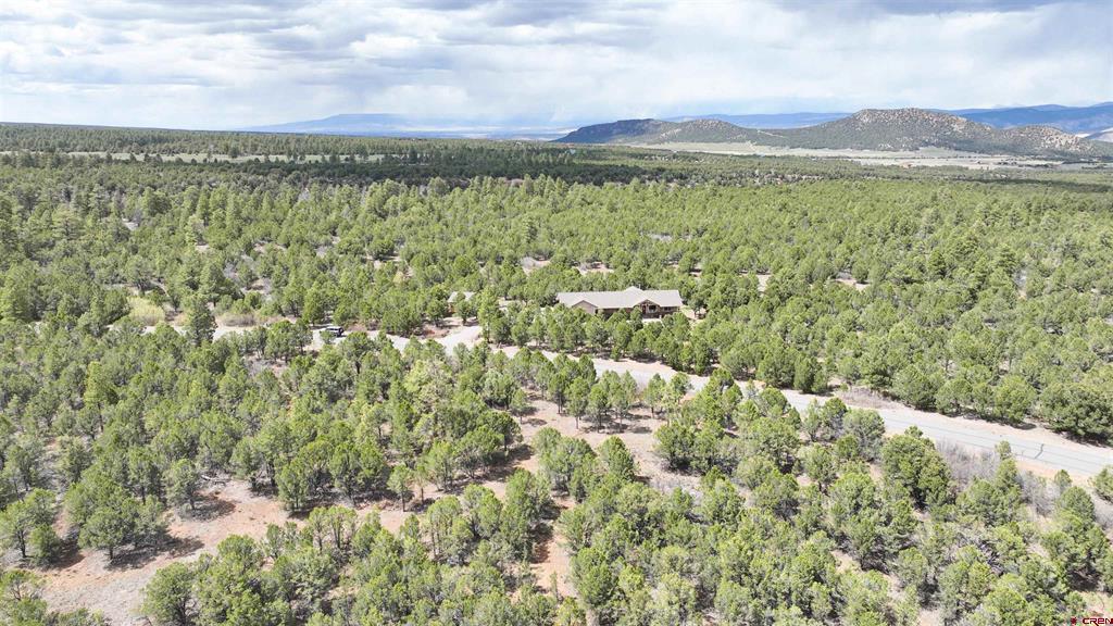 212 Fisher Canyon Drive