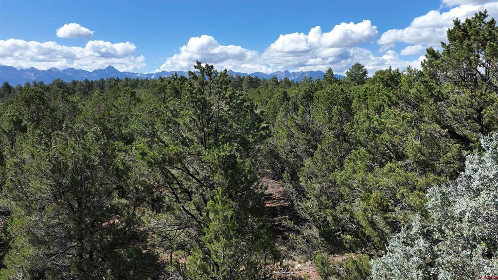 212 Fisher Canyon Drive