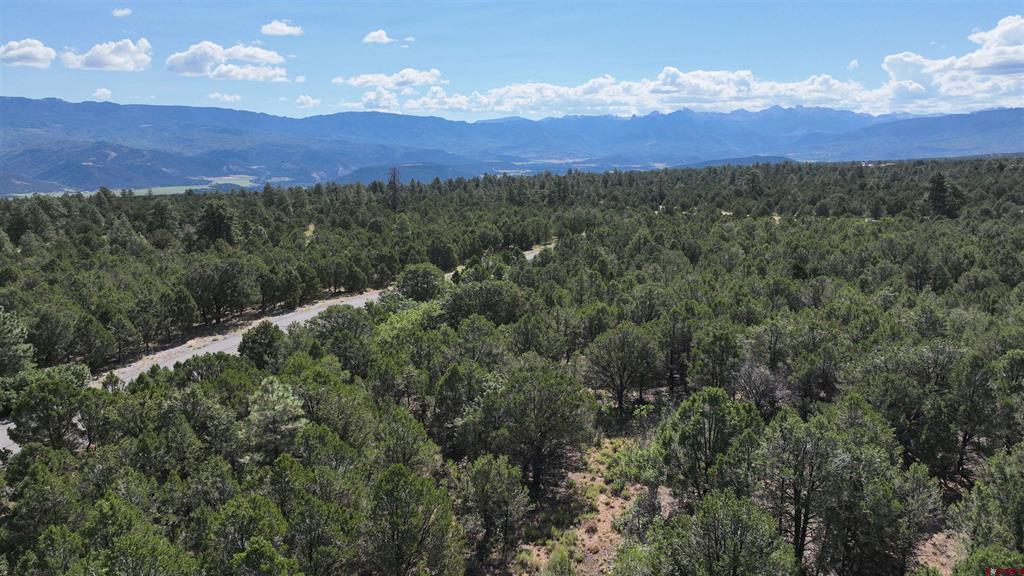 212 Fisher Canyon Drive