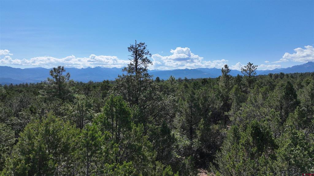 212 Fisher Canyon Drive