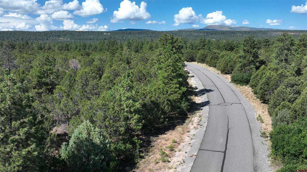 212 Fisher Canyon Drive