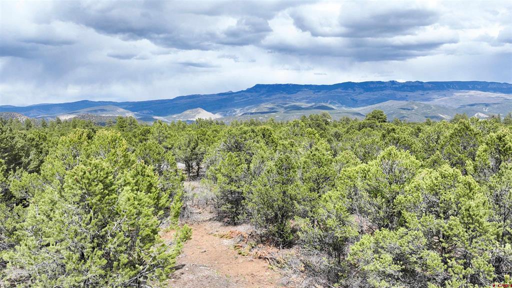 212 Fisher Canyon Drive