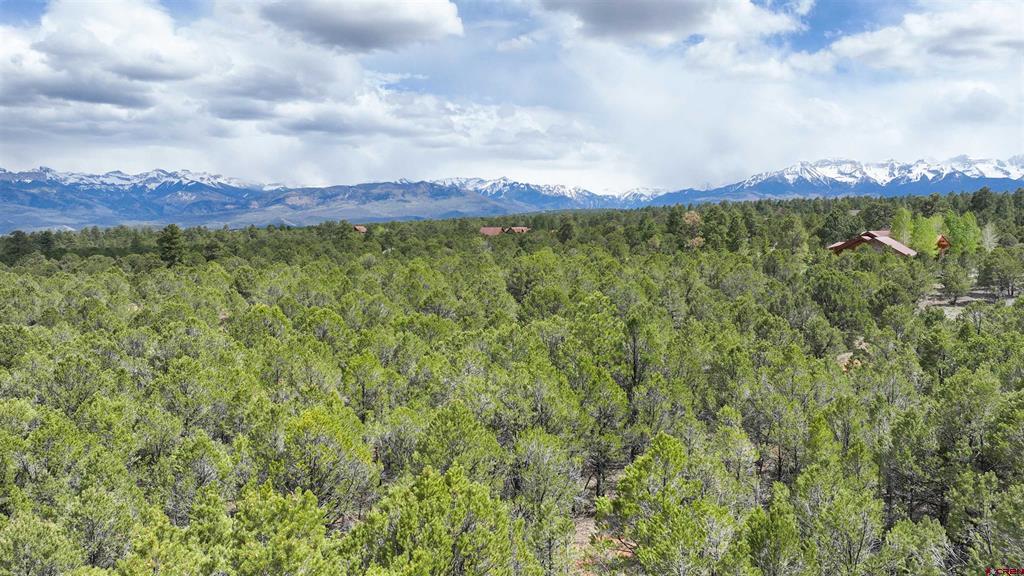 212 Fisher Canyon Drive