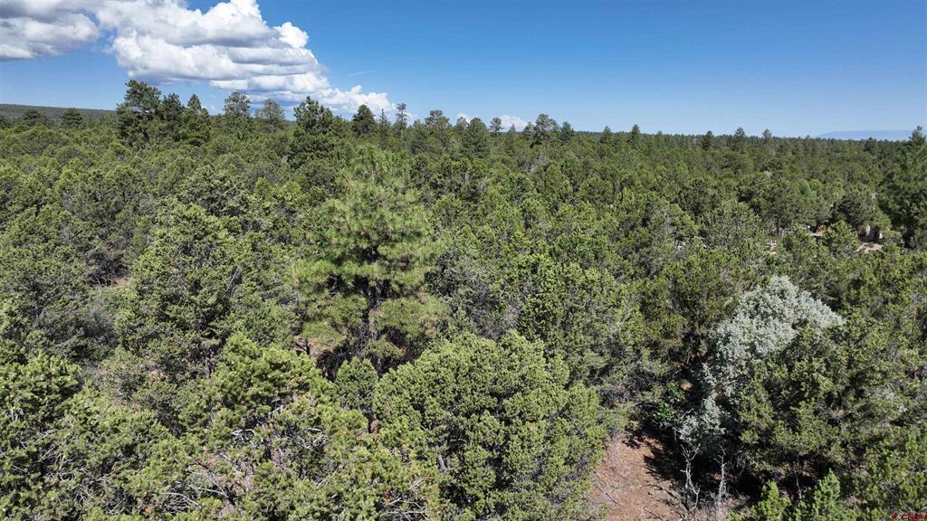 212 Fisher Canyon Drive