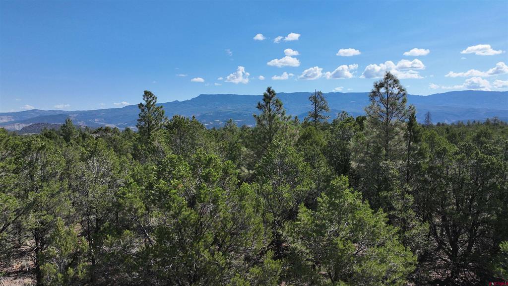 212 Fisher Canyon Drive