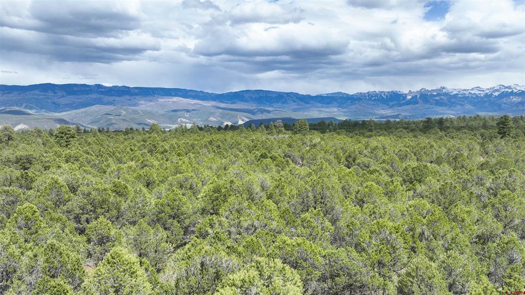 212 Fisher Canyon Drive