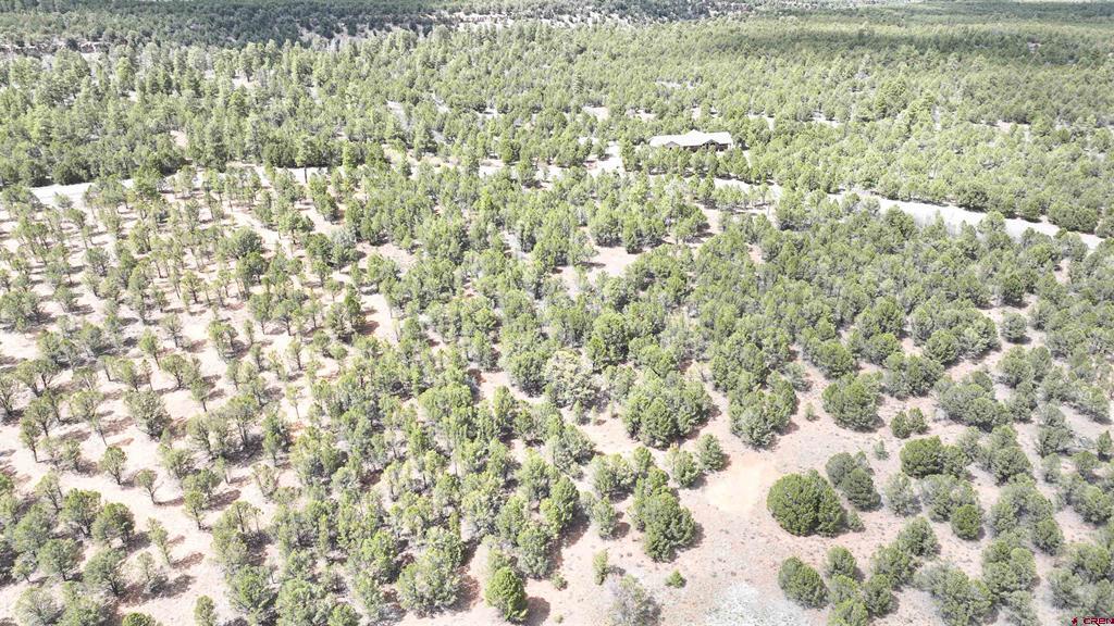 212 Fisher Canyon Drive