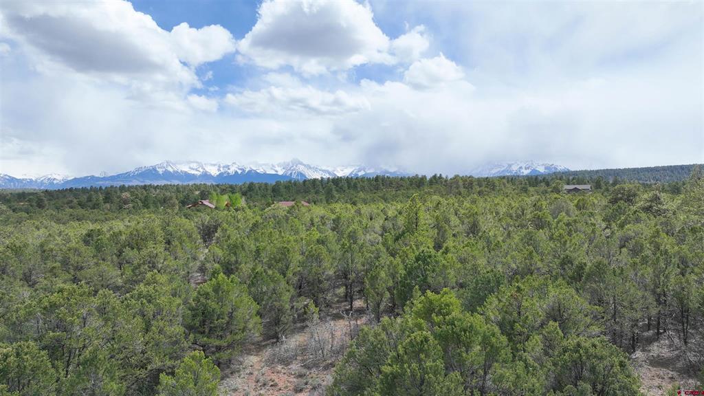 212 Fisher Canyon Drive