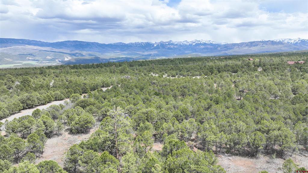 212 Fisher Canyon Drive