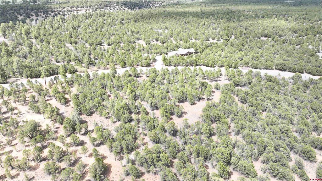 212 Fisher Canyon Drive