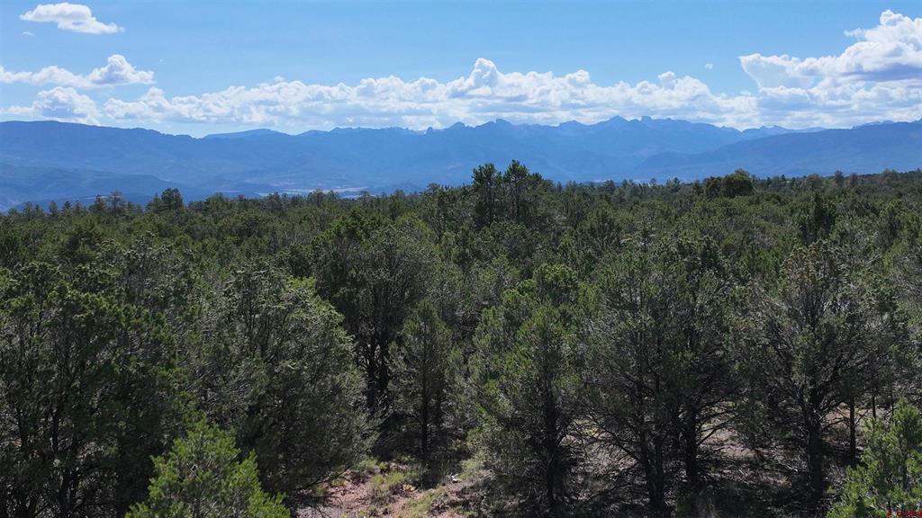 212 Fisher Canyon Drive