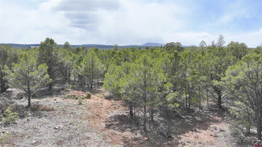 212 Fisher Canyon Drive