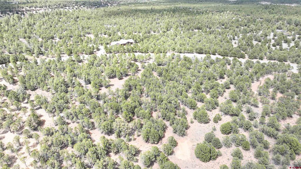 212 Fisher Canyon Drive