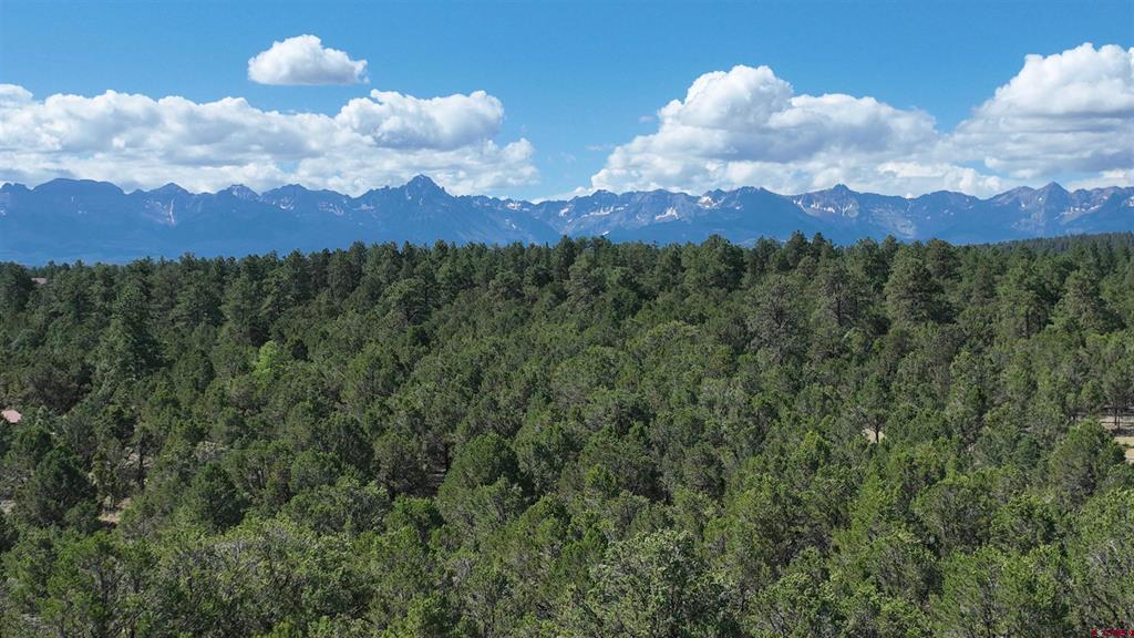 212 Fisher Canyon Drive