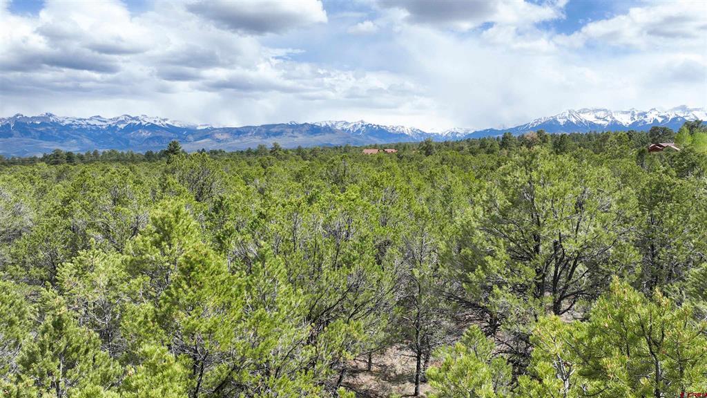 212 Fisher Canyon Drive