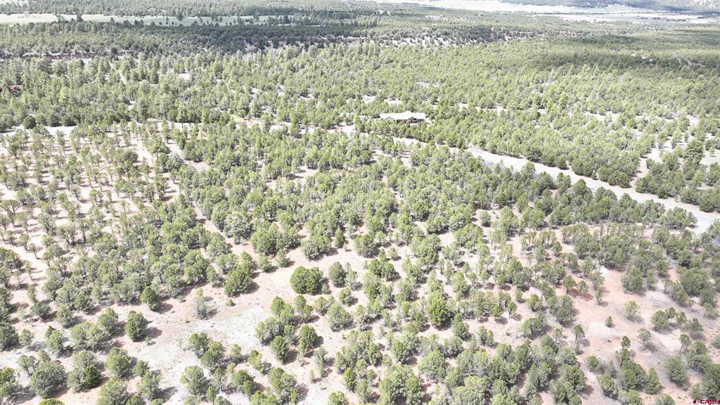 212 Fisher Canyon Drive