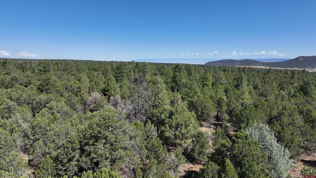 212 Fisher Canyon Drive