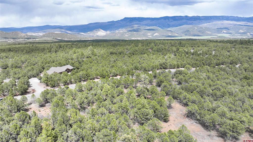 212 Fisher Canyon Drive