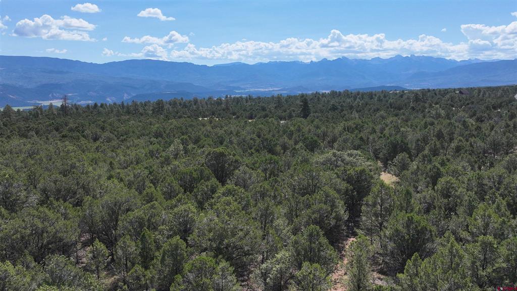 212 Fisher Canyon Drive