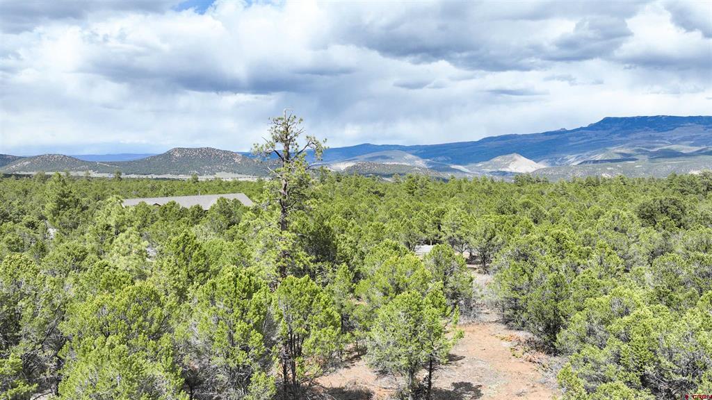 212 Fisher Canyon Drive