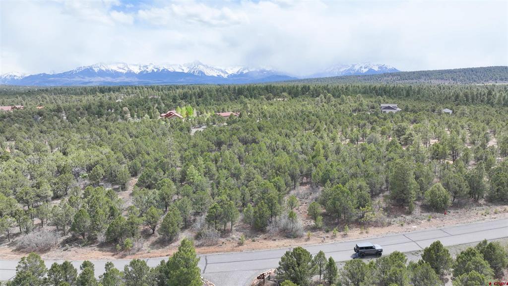 212 Fisher Canyon Drive