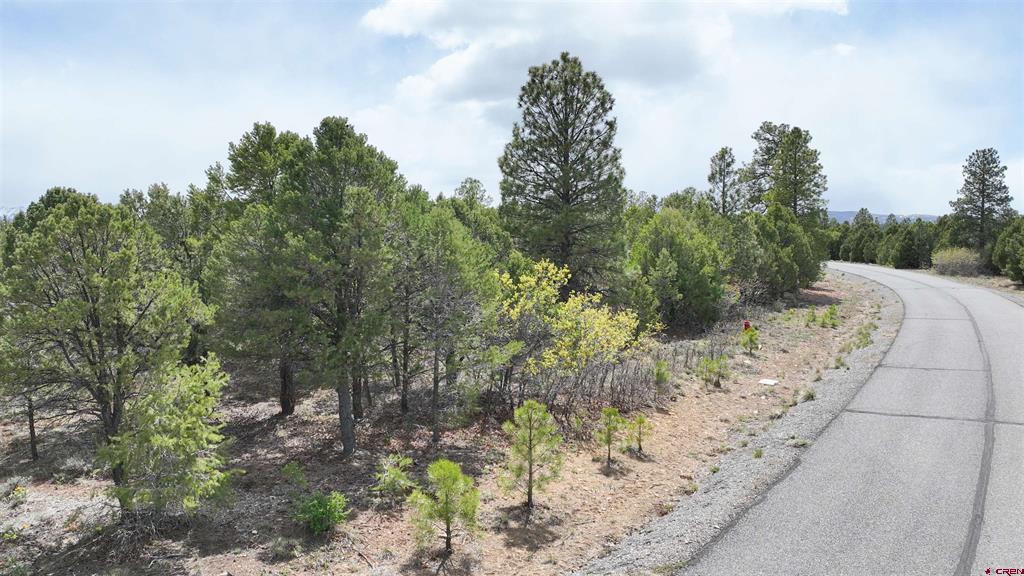 212 Fisher Canyon Drive