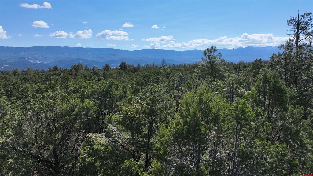 212 Fisher Canyon Drive