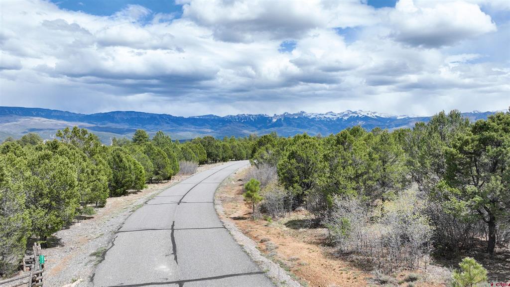 212 Fisher Canyon Drive