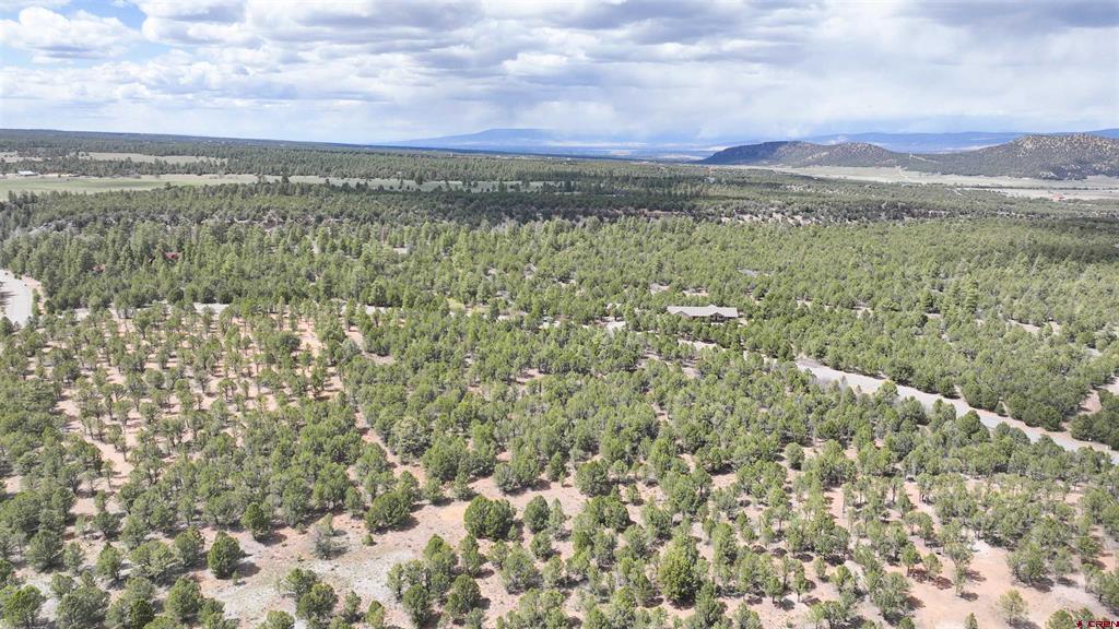 212 Fisher Canyon Drive