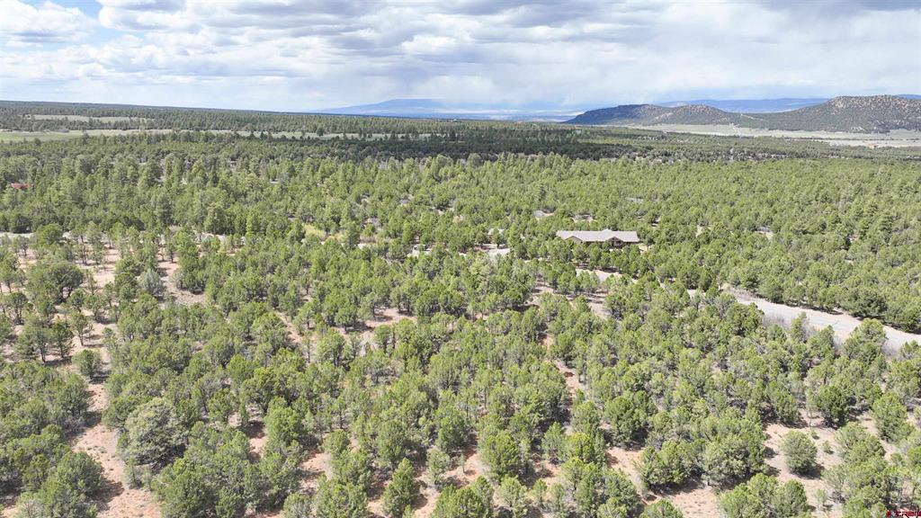 212 Fisher Canyon Drive