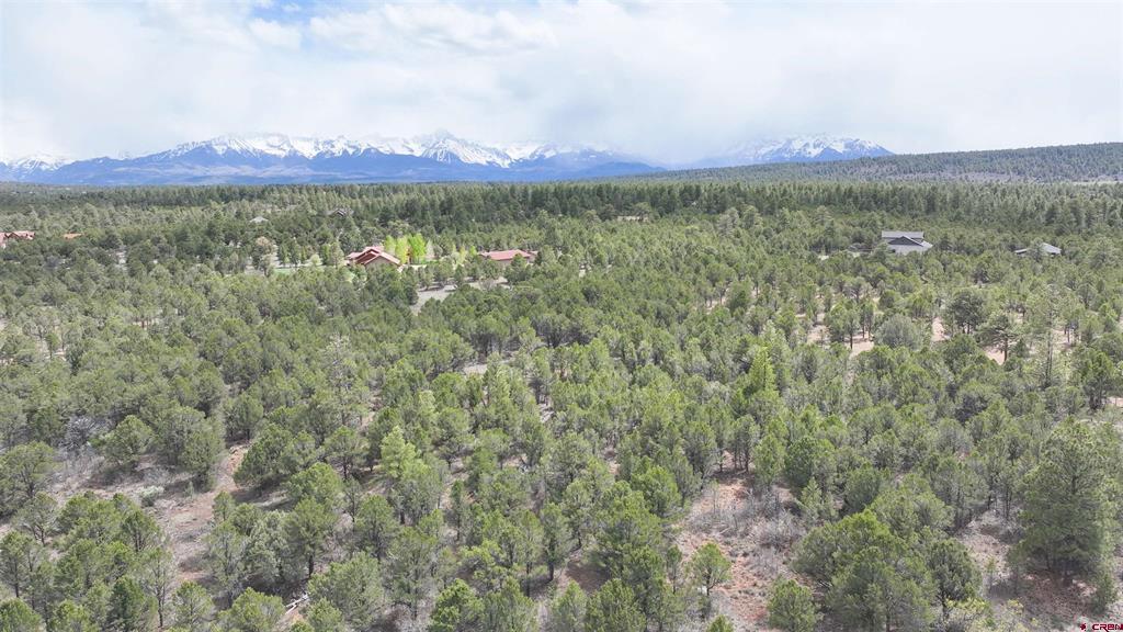 212 Fisher Canyon Drive