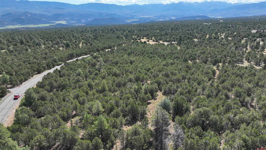 212 Fisher Canyon Drive